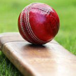 cricket